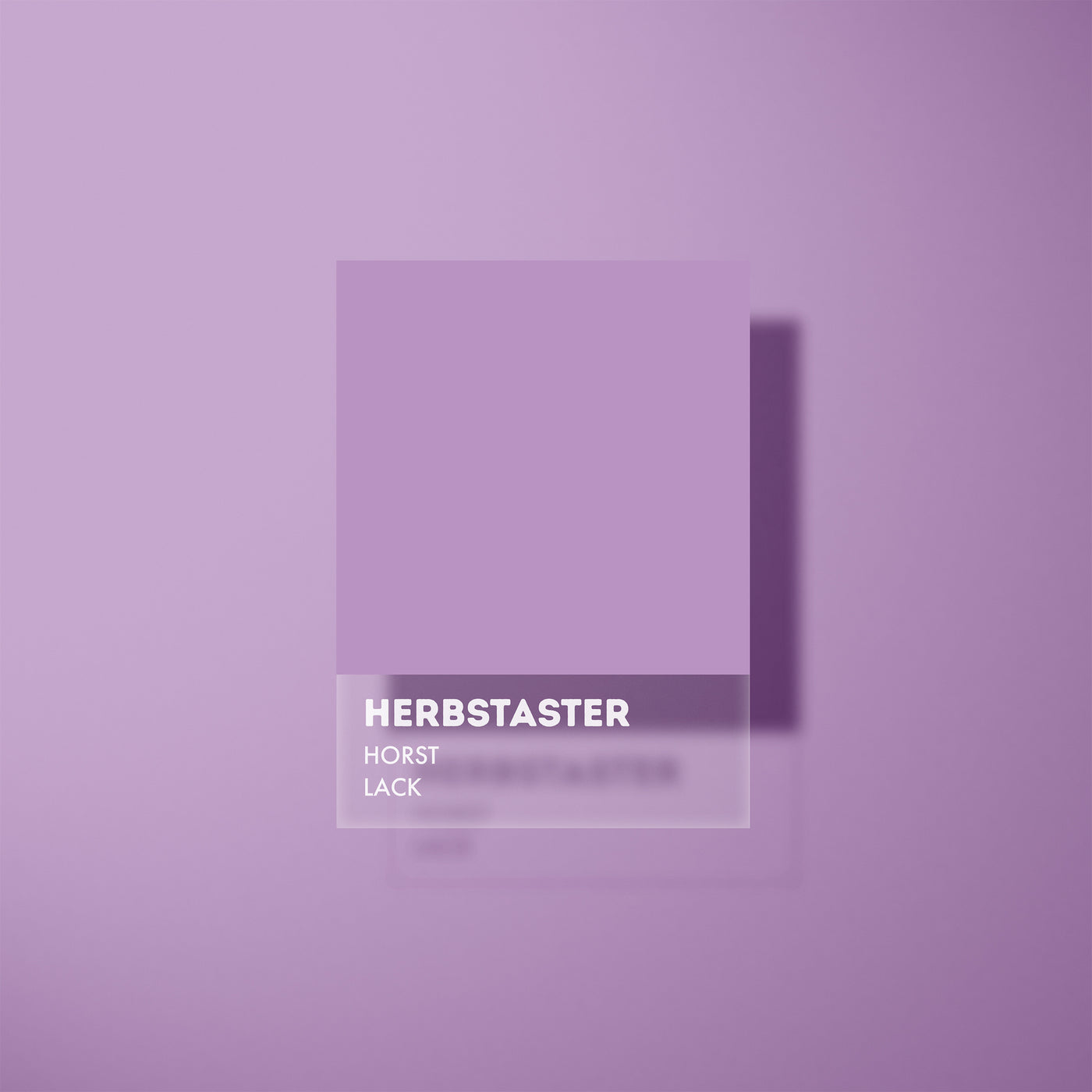 HORST Lack - Herbstaster