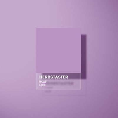 HORST Lack - Herbstaster